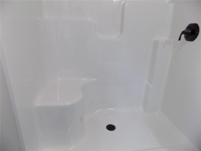 633 E Eldon St, St James, MO 65559 - bathroom with a shower