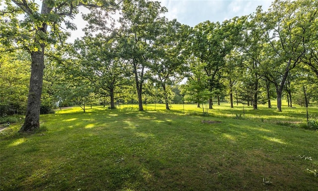 17130 State Route F, St James, MO 65559 - view of green lawn