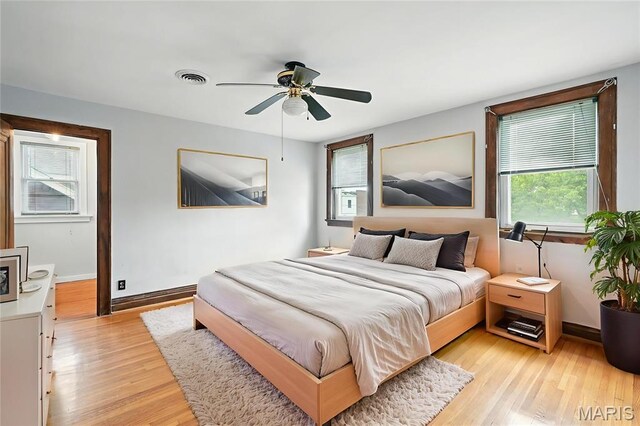 3670 Loughborough Ave, Saint Louis, MO 63116 - photo 16