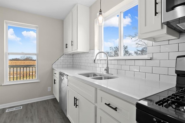 7097 State Route 3, Evansville, IL 62242 - kitchen with stainless steel appliances, a sink, healthy amount of natural light, and dark wood finished floors