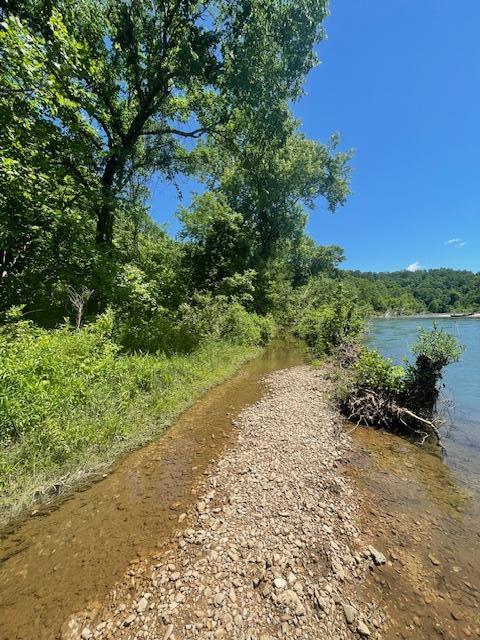 TBD County Road 203, Eminence, MO 65466 - photo 7