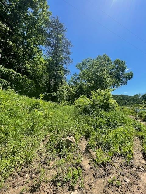TBD County Road 203, Eminence, MO 65466 - photo 10
