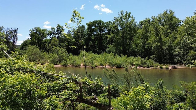 TBD County Road 203, Eminence, MO 65466 - photo 2