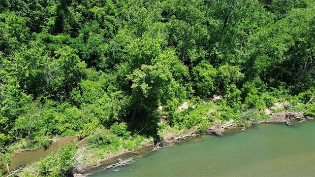 TBD County Road 203, Eminence, MO 65466 - photo 3