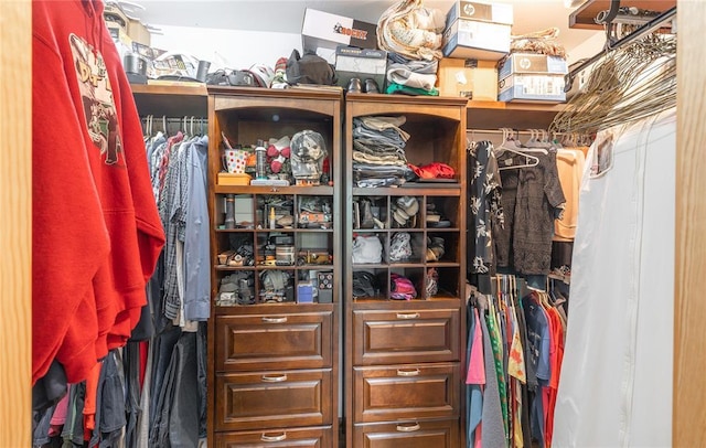 19285 State Route Ee, St James, MO 65559 - view of spacious closet
