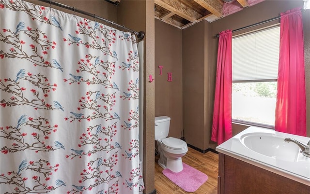 19285 State Route Ee, St James, MO 65559 - bathroom featuring toilet, wood finished floors, vanity, and a shower with shower curtain