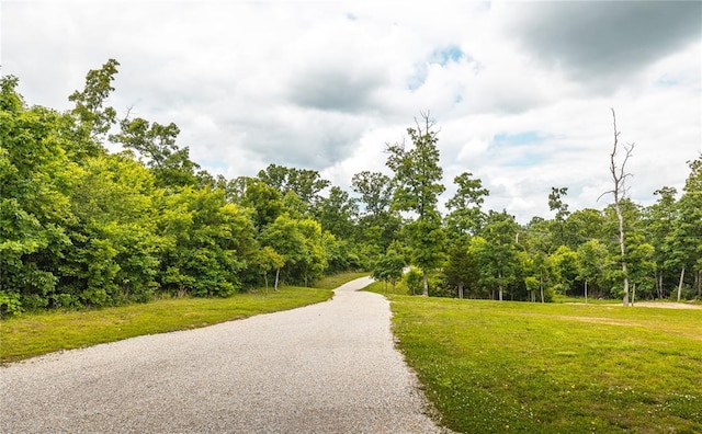 19285 State Route Ee, St James, MO 65559 - view of home's community with a wooded view and a lawn
