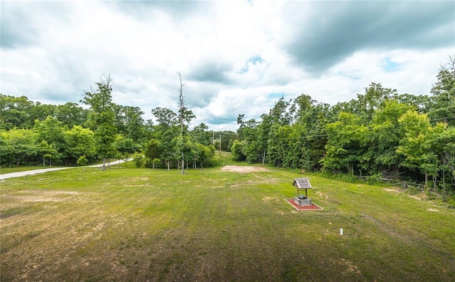 19285 State Route Ee, St James, MO 65559 - view of green lawn