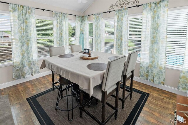 12 Willow Trl, Collinsville, IL 62234 - photo 26