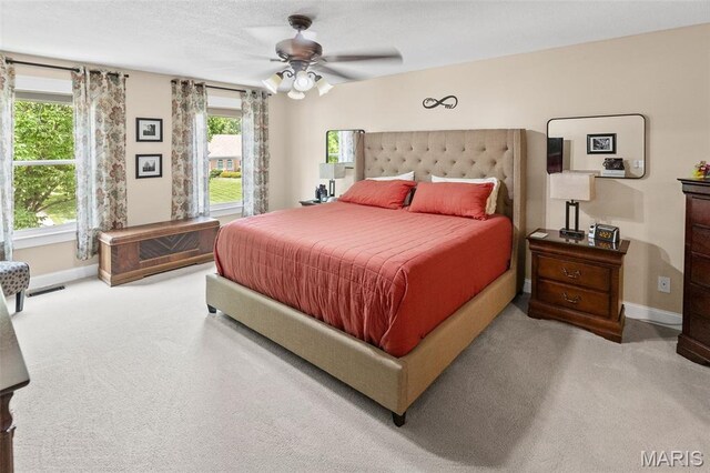 12 Willow Trl, Collinsville, IL 62234 - photo 31