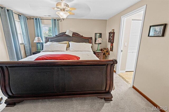 12 Willow Trl, Collinsville, IL 62234 - photo 52