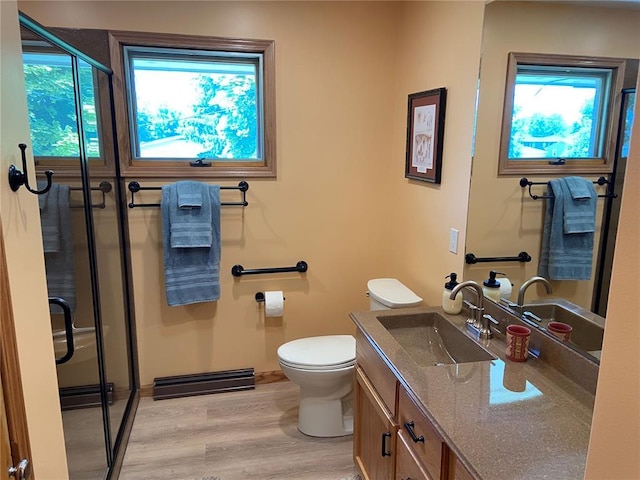 1018 S Spring St, Palmyra, MO 63461 - bathroom with vanity, a shower stall, healthy amount of natural light, and toilet