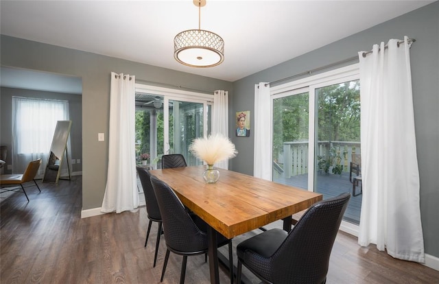 1104 Turkey Run, Rolla, MO 65401 - dining space with plenty of natural light, baseboards, and dark wood finished floors