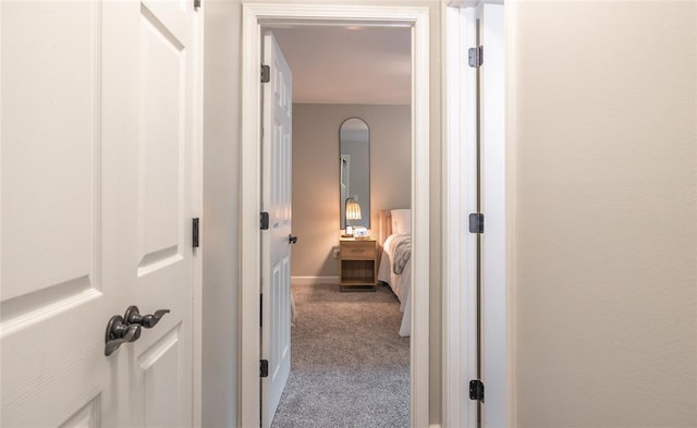 1104 Turkey Run, Rolla, MO 65401 - corridor with carpet floors and baseboards
