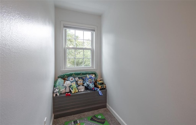 1104 Turkey Run, Rolla, MO 65401 - detailed view of baseboards and carpet floors