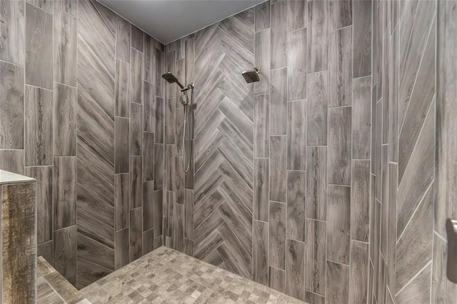 11475 Slate Cir, Rolla, MO 65401 - full bath featuring tiled shower