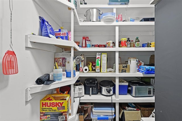 5810 Sorrel Tree Ct, Saint Louis, MO 63129 - view of pantry