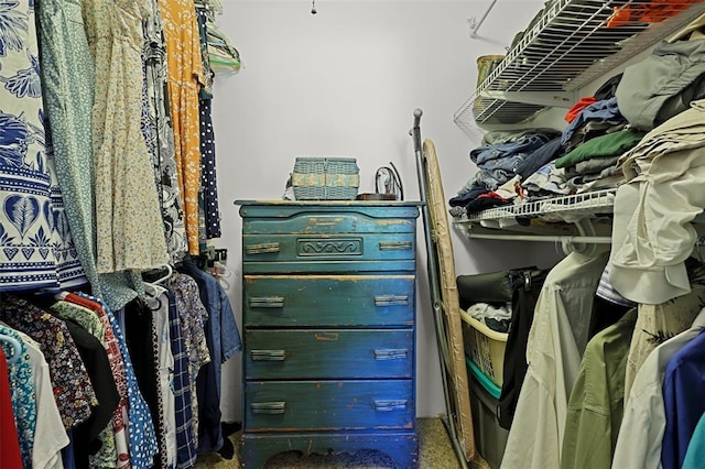 5810 Sorrel Tree Ct, Saint Louis, MO 63129 - view of walk in closet