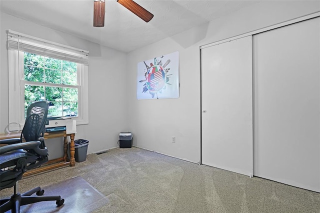5810 Sorrel Tree Ct, Saint Louis, MO 63129 - carpeted office space with ceiling fan