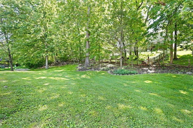 5810 Sorrel Tree Ct, Saint Louis, MO 63129 - view of grassy yard