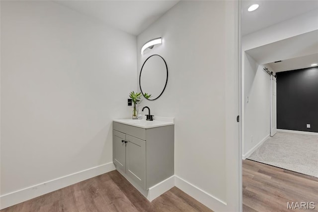 125 Foxwoods Ct, Troy, MO 63379 - bathroom featuring wood finished floors and vanity