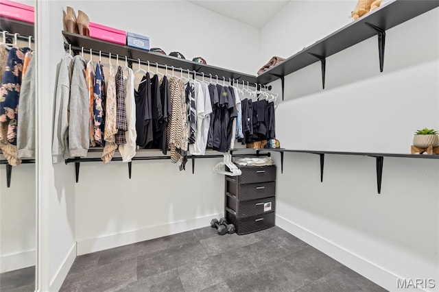 125 Foxwoods Ct, Troy, MO 63379 - view of spacious closet