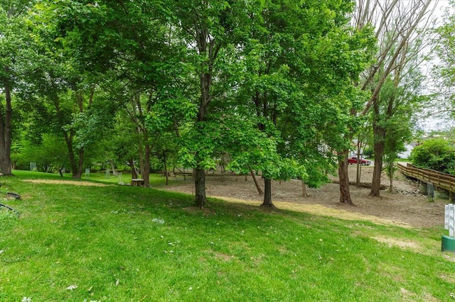 3226 Bridgeport Place Dr, Bridgeton, MO 63044 - view of yard