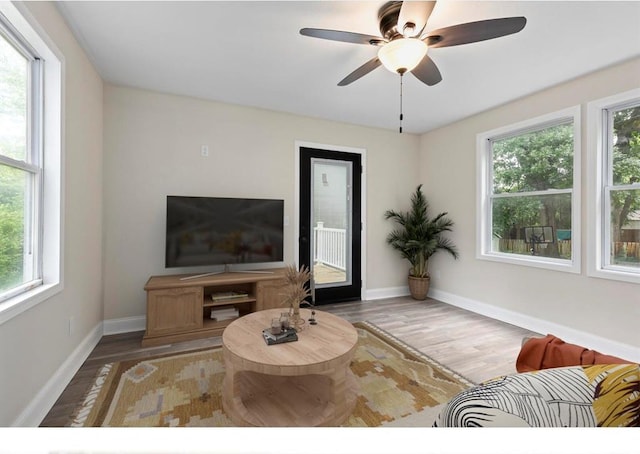 426 Pasadena Ave, Webster Groves, MO 63119 - living room featuring healthy amount of natural light, ceiling fan, and wood finished floors