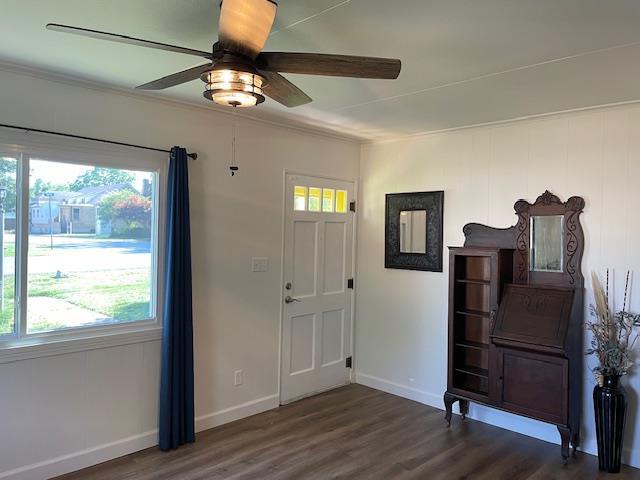 212 E N St, Benton, MO 63736 - foyer entrance featuring a ceiling fan, wood finished floors, plenty of natural light, baseboards, and ornamental molding
