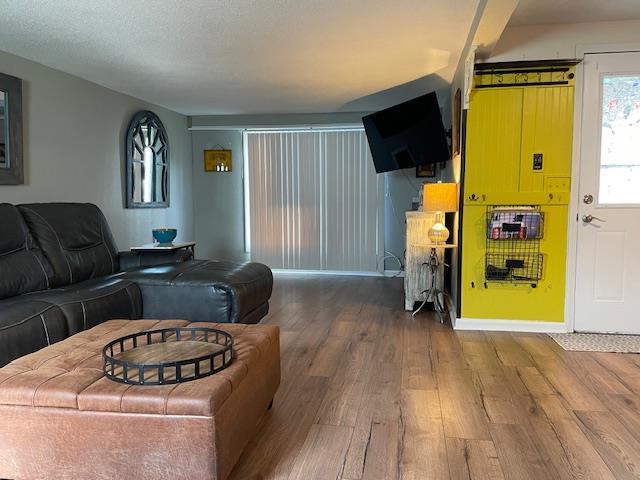 212 E N St, Benton, MO 63736 - living room featuring wood finished floors and baseboards