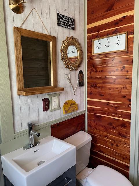 212 E N St, Benton, MO 63736 - half bathroom featuring a sink, wooden walls, and toilet