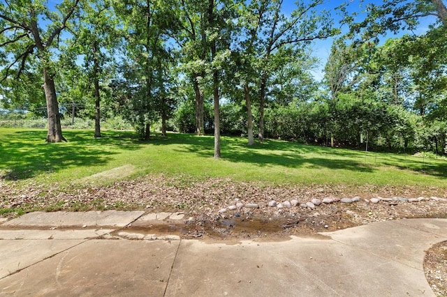 23 Tiger Dr, Wentzville, MO 63385 - photo 33