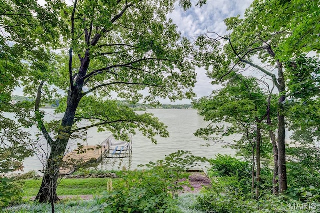 23 Marquette Dr, Lake St Louis, MO 63367 - photo 34