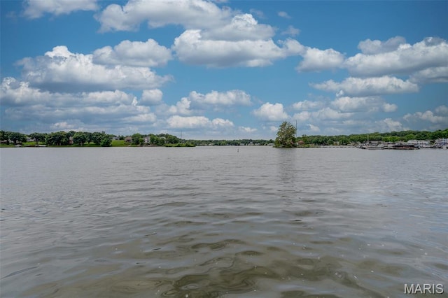 23 Marquette Dr, Lake St Louis, MO 63367 - photo 39