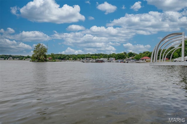 23 Marquette Dr, Lake St Louis, MO 63367 - photo 40