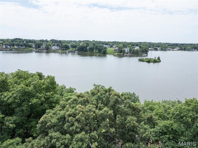 23 Marquette Dr, Lake St Louis, MO 63367 - photo 42