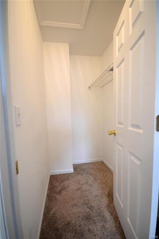 2922 Pennsylvania Ave, Saint Louis, MO 63118 - walk in closet featuring carpet floors and attic access