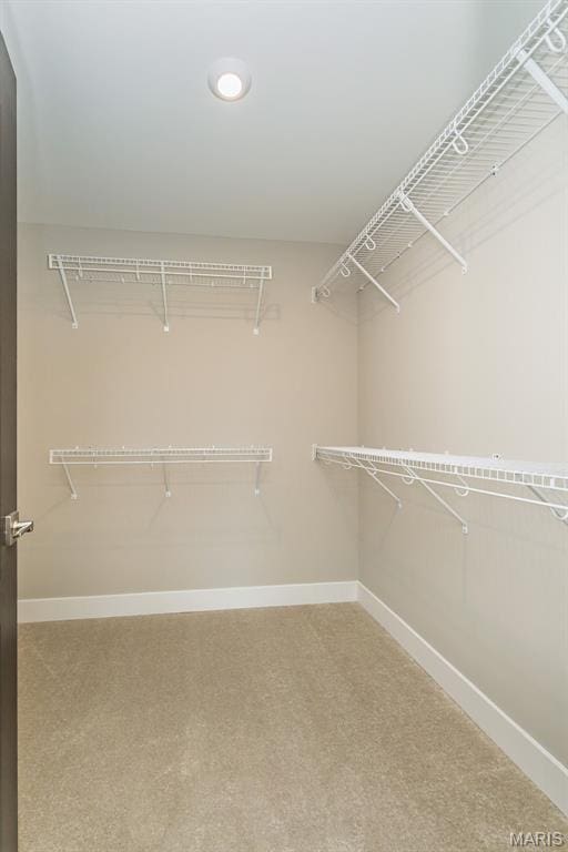 8835 Eager Rd, Richmond Heights, MO 63144 - photo 34