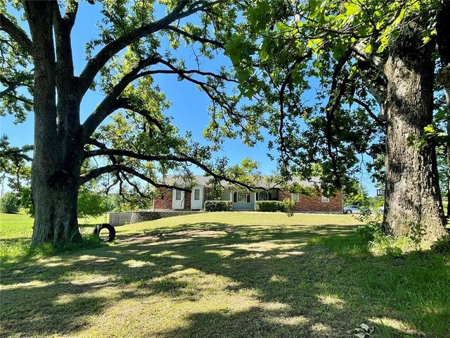 17250 Brewster Ln, Crocker, MO 65452 - view of green lawn