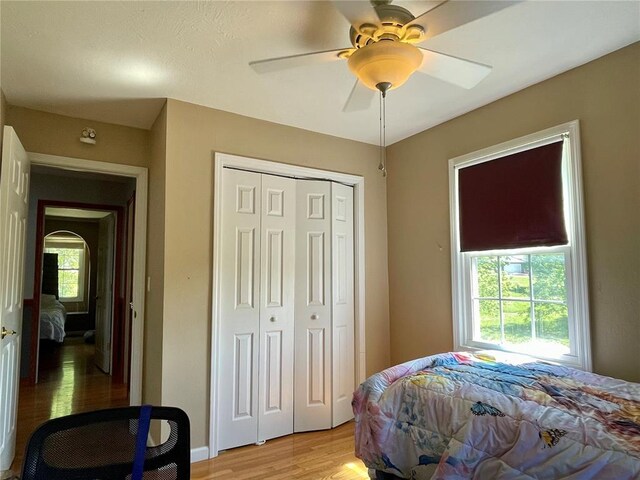 17250 Brewster Ln, Crocker, MO 65452 - bedroom with light wood-style floors, a closet, and a ceiling fan