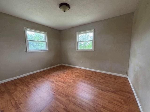 15606 County Road 624, Dexter, MO 63841 - empty room featuring wood finished floors, healthy amount of natural light, and baseboards
