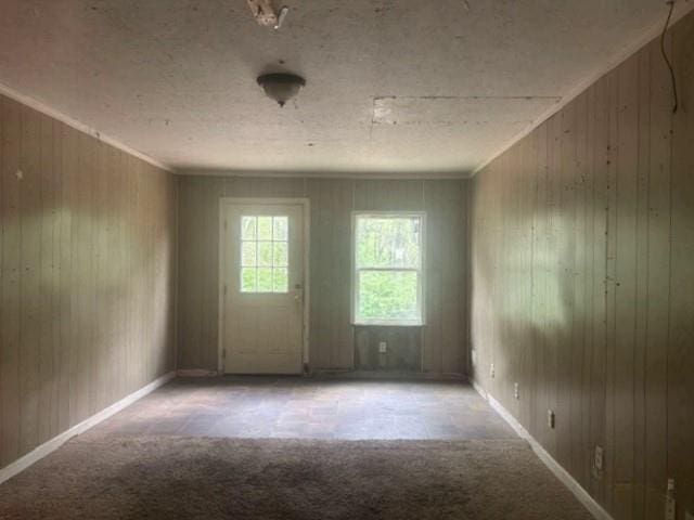 15606 County Road 624, Dexter, MO 63841 - empty room featuring wooden walls and carpet flooring
