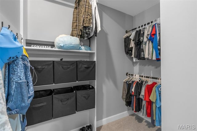28 Millwell Dr, Maryland Heights, MO 63043 - walk in closet featuring carpet