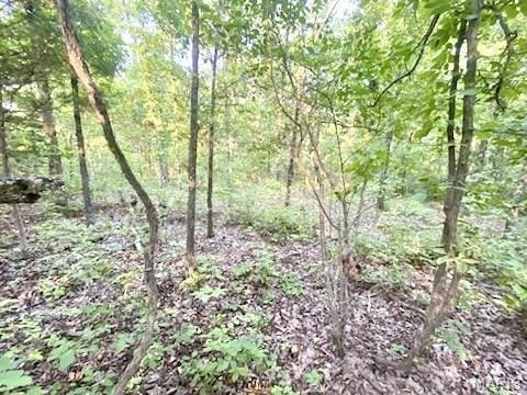 0 Hamilton Hollow Rd, Sullivan, MO 63080