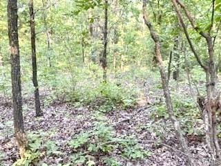 0 Hamilton Hollow Rd, Sullivan, MO 63080