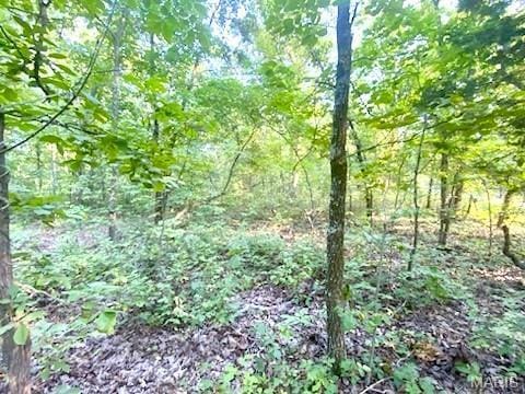 0 Hamilton Hollow Rd, Sullivan, MO 63080