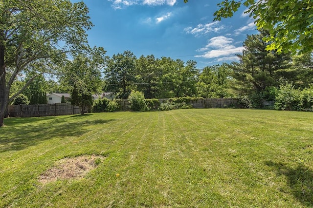 505 Stephanie Ln, Manchester, MO 63011 - view of yard