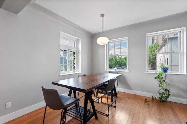 603 Westgate Ave Unit 603E, Saint Louis, MO 63130 - dining space featuring baseboards and wood finished floors