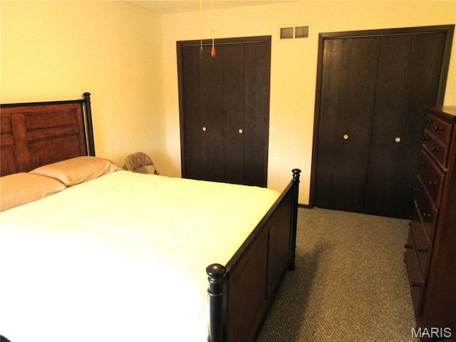 1826 Muny Vista Ct Unit B, Alton, IL 62002 - bedroom with dark carpet and two closets
