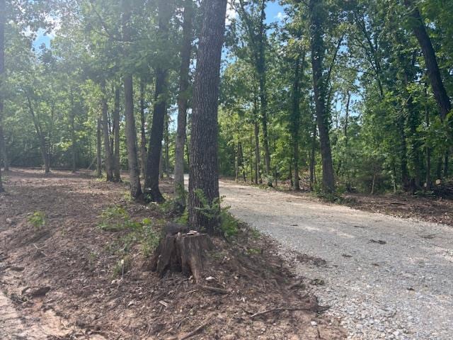 411 Hamilton Creek Dr, Union, MO 63084